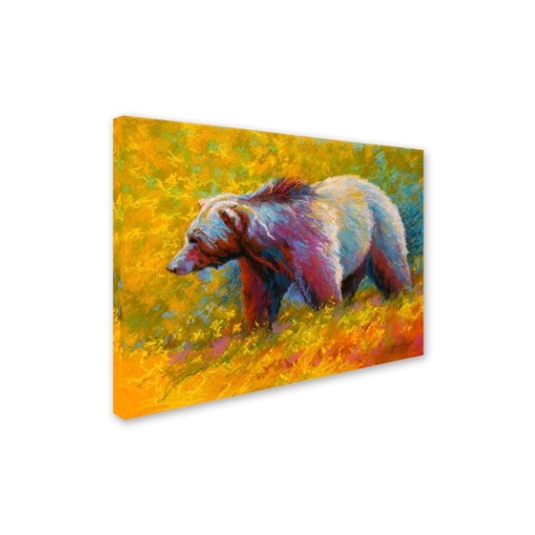 Marion Rose 'Pastel Grizz' Canvas Art,35x47